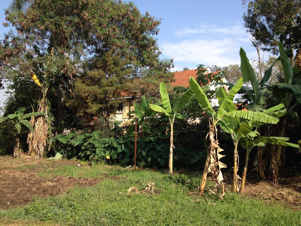 Bikeventures House Uganda Hotel Jinja Exterior foto